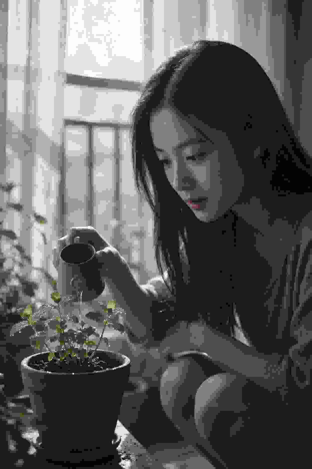 豪门迷局